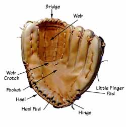 Baseball glove repair and Glove Stuff® baseball glove cleaner and conditioner - photo of a baseball glove with labels of various areas of the glove