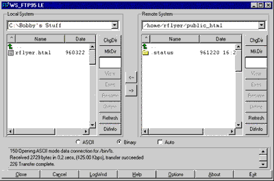 WS_FTP95 FTP Window